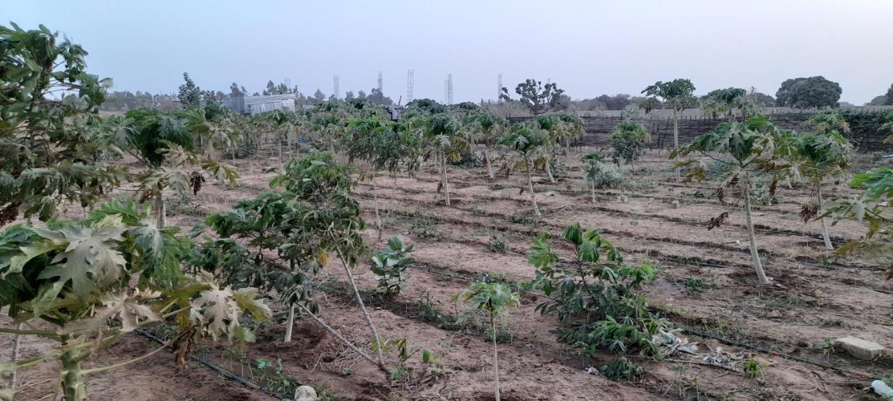 Saly Lrad Le Village Ngaring Bagian luar foto