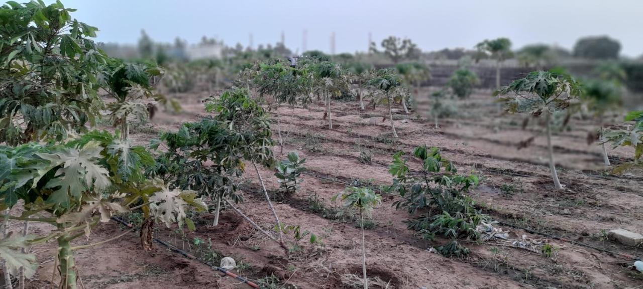 Saly Lrad Le Village Ngaring Bagian luar foto
